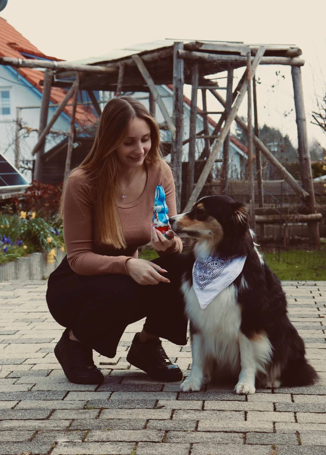 Frisch gepflegter Hund im Salon